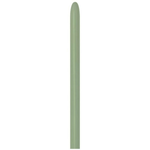Sempertex 160  Modelling Balloons Fashion Eucalyptus pack of 50.