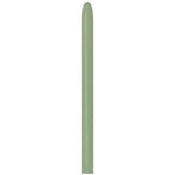 Sempertex 160  Modelling Balloons Fashion Eucalyptus pack of 50.