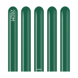 Kalisan 260 twisting balloons Dark Green- Pack of 100