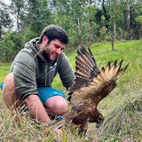 Feathered friends fundraiser! Fairy Brookes Collection- one stroke Hazel Wings 30g