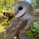 Feathered friends fundraiser! Fairy Brookes Collection- one stroke Hazel Wings 30g