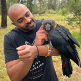 Feathered friends fundraiser! Fairy Brookes Collection- one stroke Hazel Wings 30g