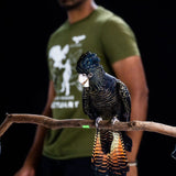 Feathered friends fundraiser! Fairy Brookes Collection- one stroke Hazel Wings 30g