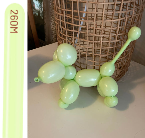 Kalisan 260 twisting balloons Macaron Pistachio - Pack of 100
