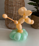 DTX (Sempertex) 260 Modelling Balloons Pastel Green pack of 50