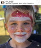 1 Day Onestroke Christmas Face Paint Class- Sunday 8th November 2026 10am-4pm, Oran Park