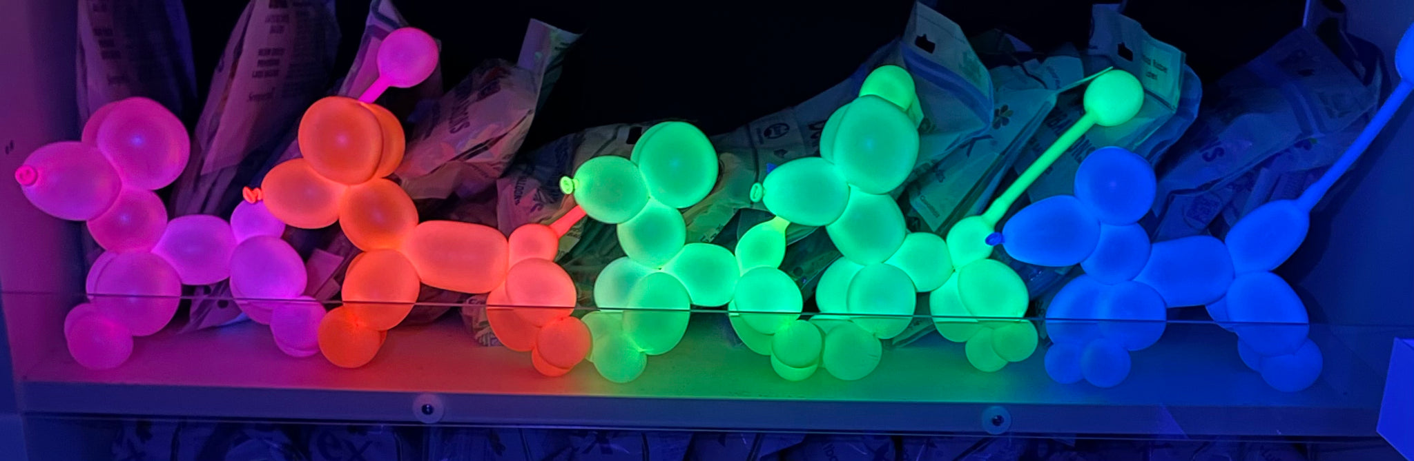 Sempertex 260 Modelling Balloons Neon Assortment pack of 50