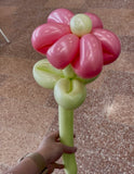 DTX (Sempertex) 260 Modelling Balloons Fashion Rose pack of 50
