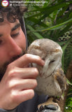 Feathered friends fundraiser! Fairy Brookes Collection- one stroke Hazel Wings 30g