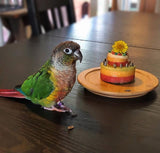 Amy’s Collection- One Stroke Rainbow Cake- “Birby” 30g