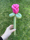 Sempertex 160  Modelling Balloons Fashion Eucalyptus pack of 50.