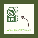 Glitter Girl Biodegradable Eco Glitter- Allys Wish- iridescent and holographic mix