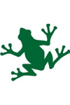 TT Face and Body Painting Stencil- Frog